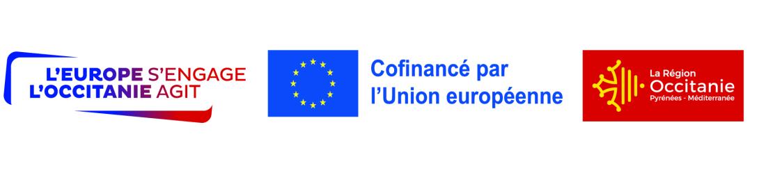 Logo UE Région Financement 